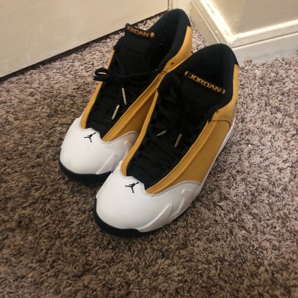 Air Jordan 14s Ginger
